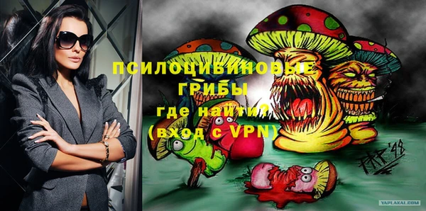 марки nbome Каменка