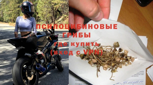 крисы Каменск-Шахтинский