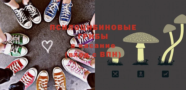 марки nbome Каменка